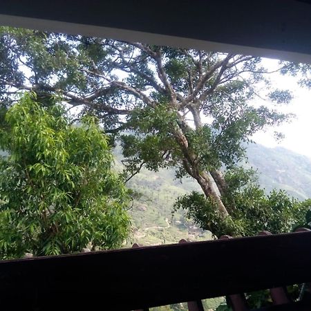 Holly Hock Bed & Breakfast Munnar Exterior photo